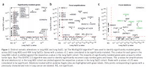 Distinct patterns of somatic genome alterations in lung adenocarcinomas and squamous cell carcinomas