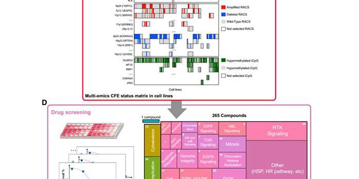 51a4545cac95eb8b074f5961d37b0353d7a7d781